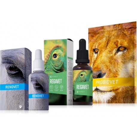 REGAVET + RENOVET + PROBIOVET
